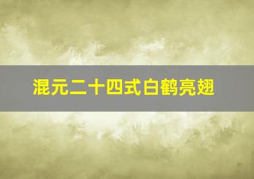 混元二十四式白鹤亮翅