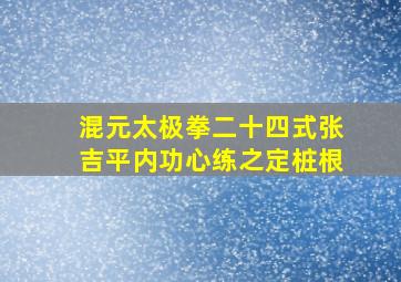 混元太极拳二十四式张吉平内功心练之定桩根