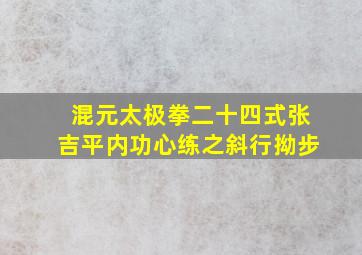 混元太极拳二十四式张吉平内功心练之斜行拗步