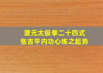 混元太极拳二十四式张吉平内功心练之起势