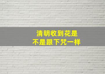 清明收到花是不是跟下咒一样