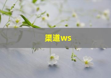 渠道ws