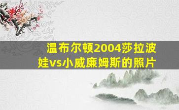 温布尔顿2004莎拉波娃vs小威廉姆斯的照片