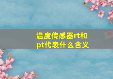 温度传感器rt和pt代表什么含义