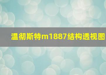 温彻斯特m1887结构透视图