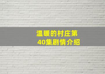 温暖的村庄第40集剧情介绍