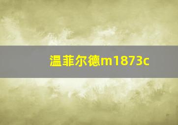 温菲尔德m1873c