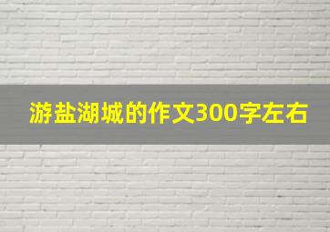 游盐湖城的作文300字左右