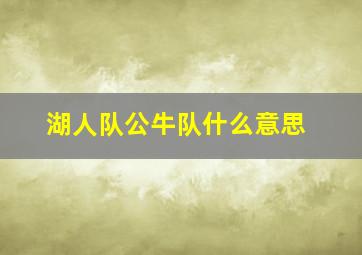 湖人队公牛队什么意思