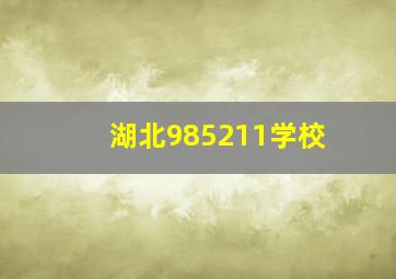 湖北985211学校