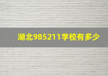 湖北985211学校有多少