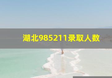 湖北985211录取人数