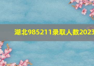 湖北985211录取人数2023