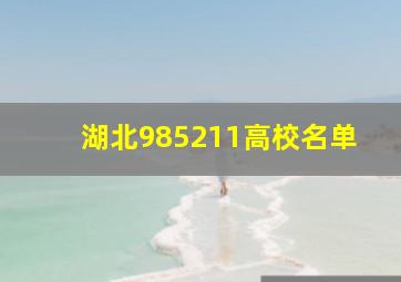 湖北985211高校名单