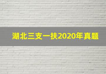 湖北三支一扶2020年真题