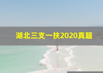 湖北三支一扶2020真题