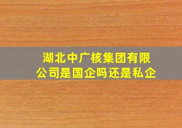 湖北中广核集团有限公司是国企吗还是私企