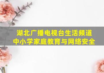 湖北广播电视台生活频道中小学家庭教育与网络安全