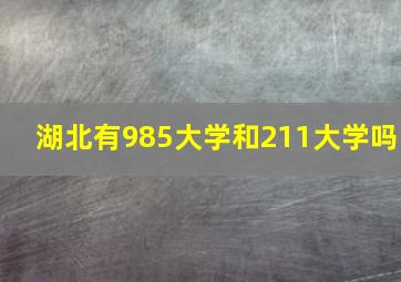 湖北有985大学和211大学吗