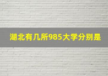 湖北有几所985大学分别是