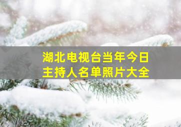 湖北电视台当年今日主持人名单照片大全