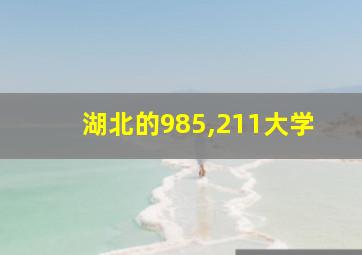 湖北的985,211大学