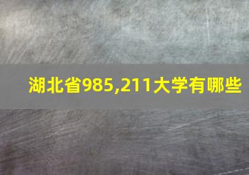 湖北省985,211大学有哪些