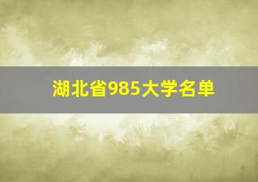 湖北省985大学名单