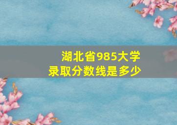 湖北省985大学录取分数线是多少