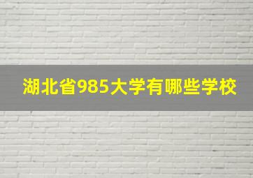 湖北省985大学有哪些学校