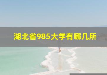 湖北省985大学有哪几所