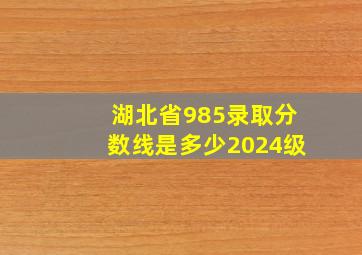 湖北省985录取分数线是多少2024级