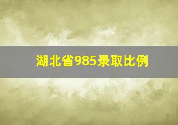 湖北省985录取比例