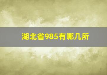 湖北省985有哪几所