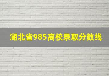 湖北省985高校录取分数线