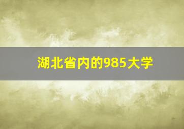 湖北省内的985大学