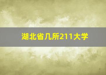 湖北省几所211大学