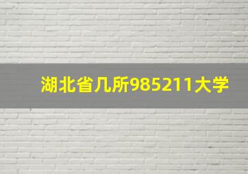 湖北省几所985211大学