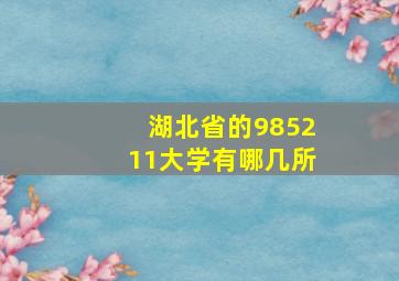 湖北省的985211大学有哪几所