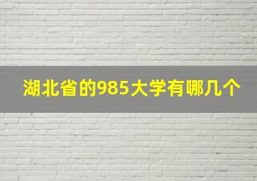 湖北省的985大学有哪几个