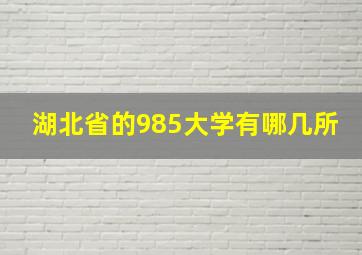 湖北省的985大学有哪几所