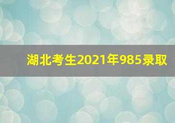 湖北考生2021年985录取