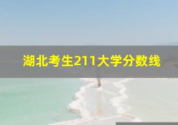 湖北考生211大学分数线