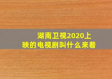 湖南卫视2020上映的电视剧叫什么来着