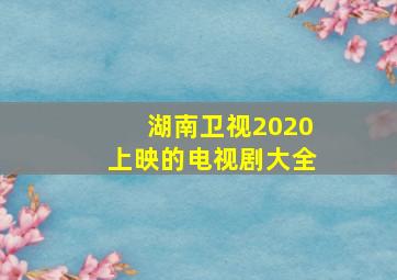 湖南卫视2020上映的电视剧大全