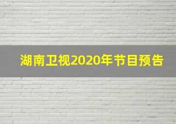 湖南卫视2020年节目预告