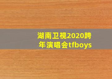 湖南卫视2020跨年演唱会tfboys