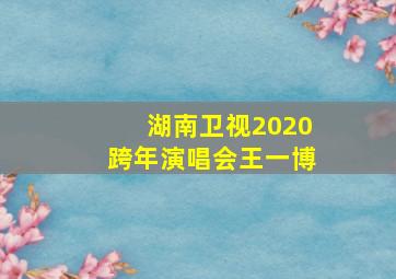 湖南卫视2020跨年演唱会王一博