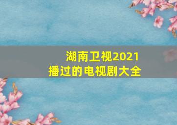 湖南卫视2021播过的电视剧大全