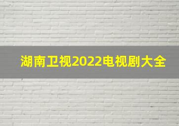 湖南卫视2022电视剧大全